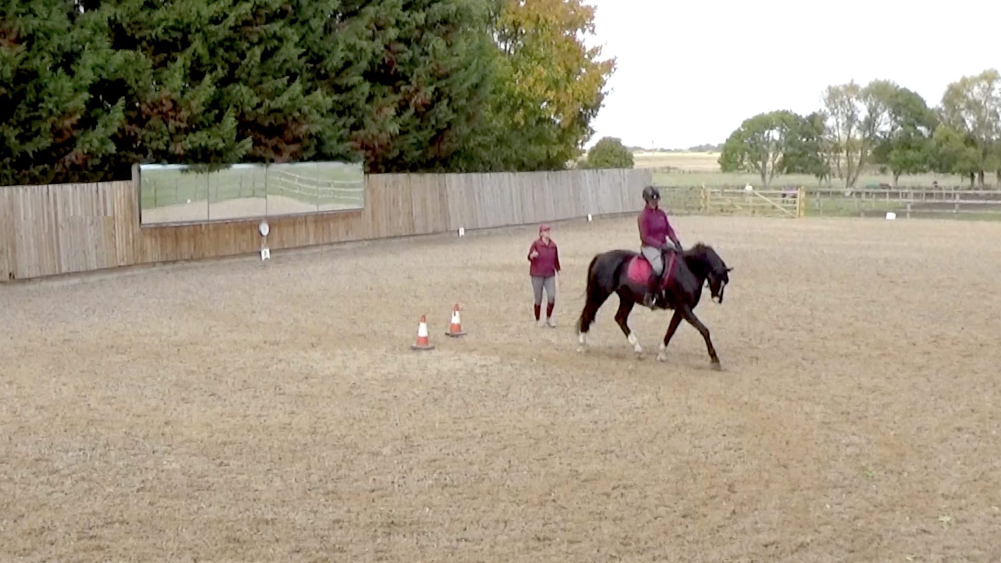 Prelim / Training Level – Dressage Adventures