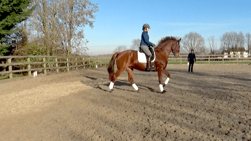 canter4 (1)