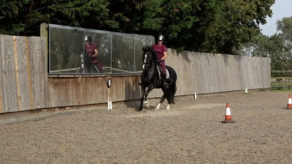 5yo Autumn 4 canter 10m