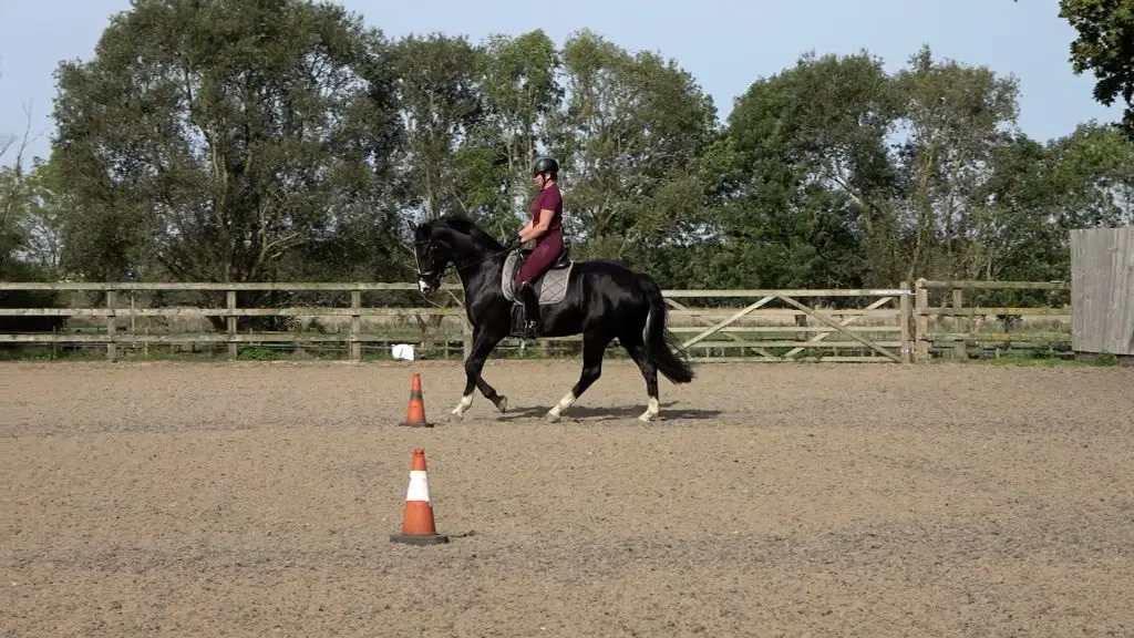 5yo Autumn R canter thumb