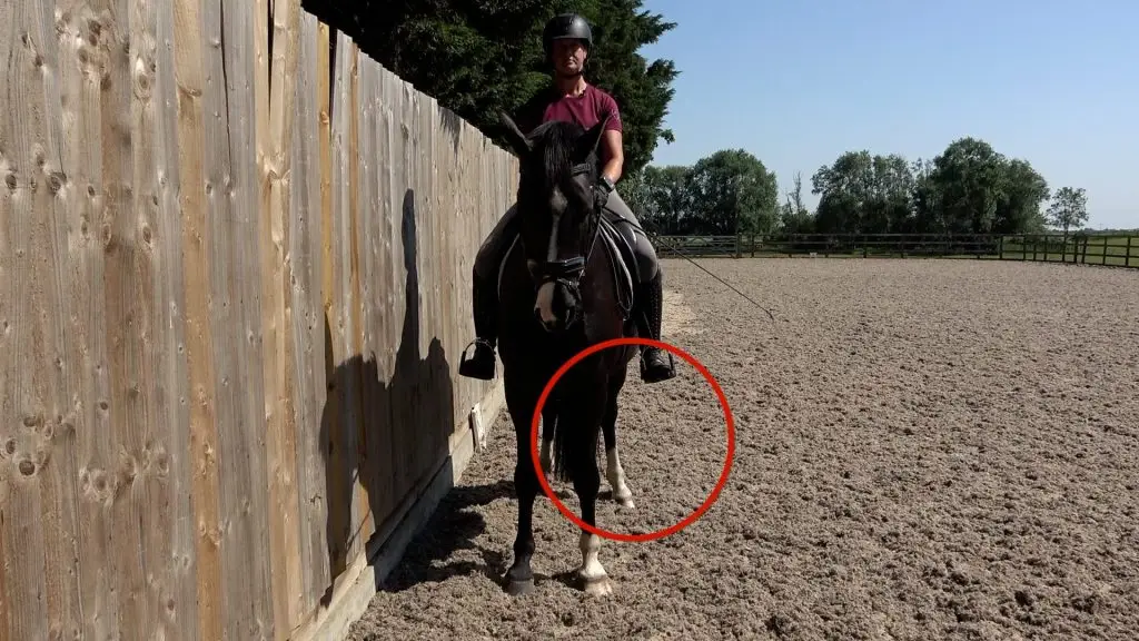 Novice Summer 1 thumb