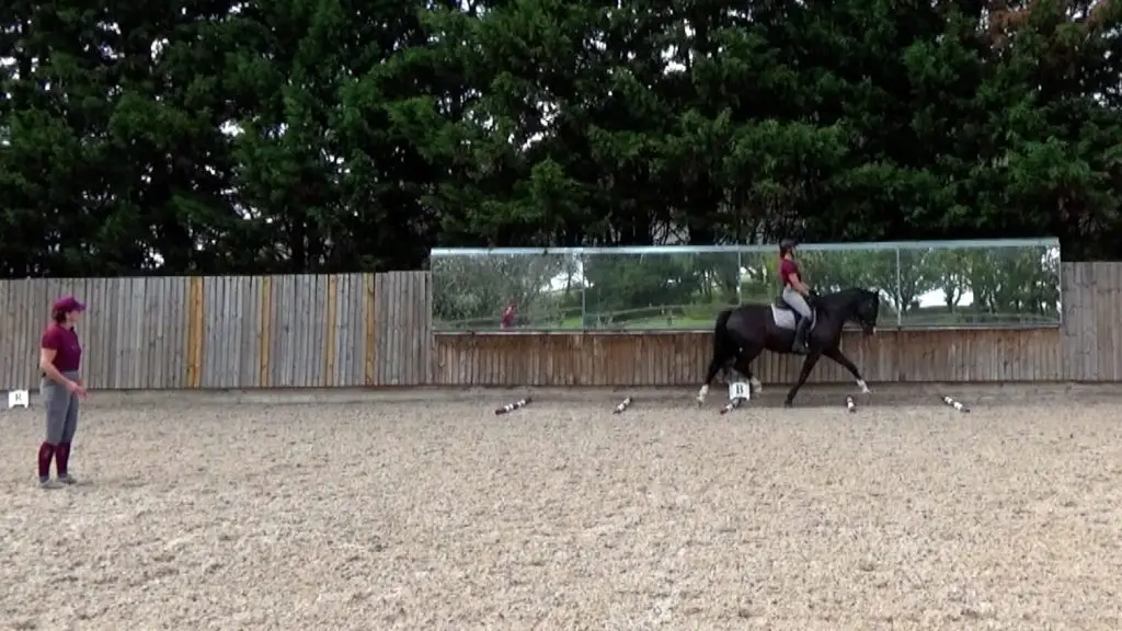 Novice Summer 3