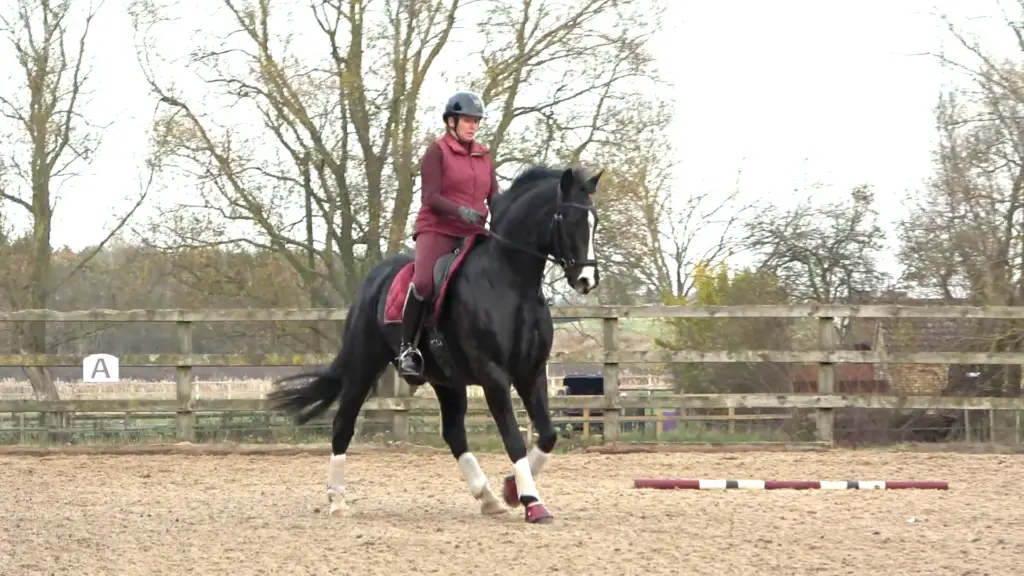 7yo Autumn 4 - canter HP A