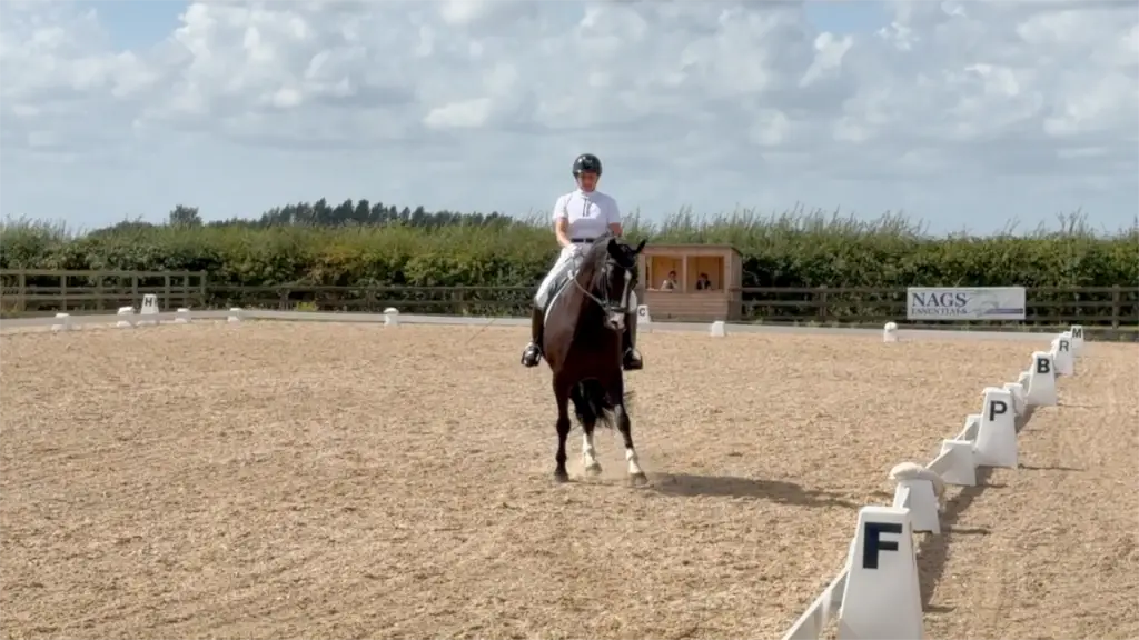 7yo Summer 4 thumb - right hp trot