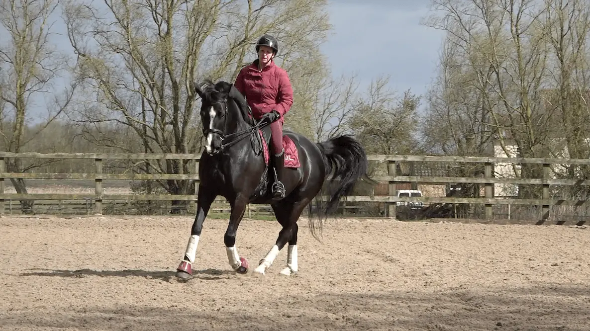 7yo Winter 3 left canter