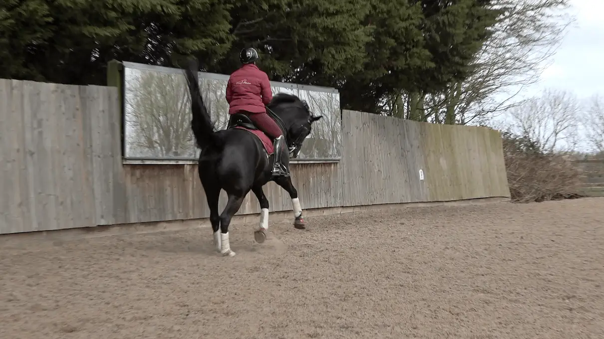 7yo Winter 4 fx