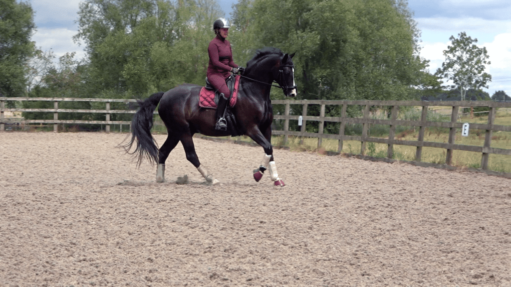 Spring 3 - canter uphill