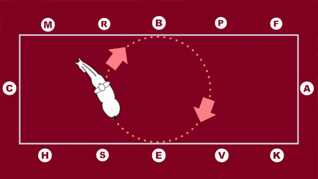 Spring 3 - shoulder out diagram